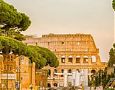Pini di via Fori imperiali - Roma